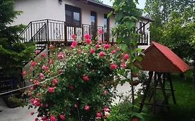 Pensiunea Tibi
