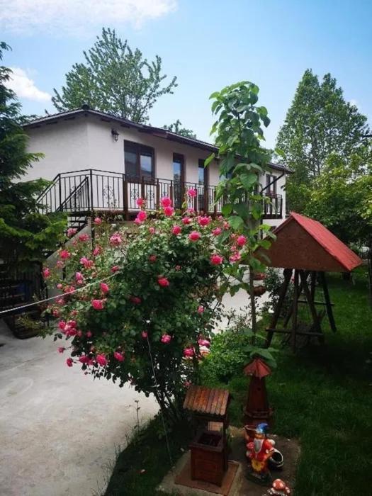 Pensiunea Tibi Eforie Nord Exterior foto